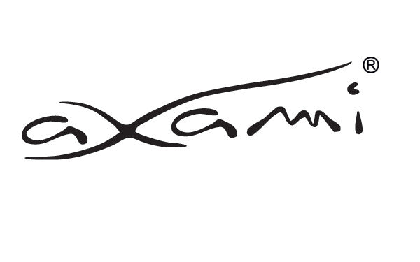 Axami Logo